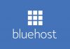 Blue Host Review
