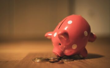 Presidential Candidate Platforms and Their Potential Impact on Economy