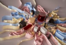 New Franchise Models Offering Greater Flexibility and Control