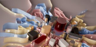 New Franchise Models Offering Greater Flexibility and Control