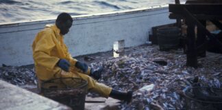 Ethical Considerations in AI Development and Deployment