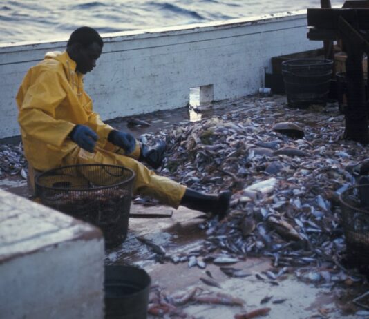 Ethical Considerations in AI Development and Deployment