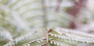 Emerging Markets to Watch in 2024: Opportunities for Growth Photo Emerging Markets Growth