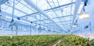 The Fastest Growing Franchises to Invest in for 2024 Photo Growing Franchises