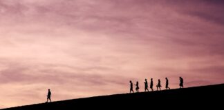 How to Build a Winning Team: Leadership Strategies for Success Photo Leadership