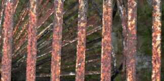 Overcoming Business Challenges: Practical Tips for Resilience in 2024 Photo Resilience