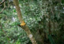 Sustainable Travel Tips for Eco-Conscious Entrepreneurs Photo Sustainable Travel