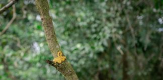 Sustainable Travel Tips for Eco-Conscious Entrepreneurs Photo Sustainable Travel