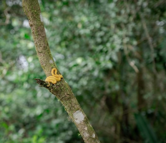 Sustainable Travel Tips for Eco-Conscious Entrepreneurs Photo Sustainable Travel