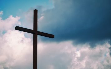 Trends in Cross-Border E-Commerce: Breaking Barriers in 2024 Photo Cross-Border E-Commerce