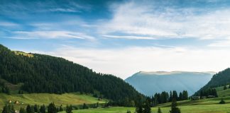 How Business Leaders Can Advocate for Regulatory Changes Photo Advocacy