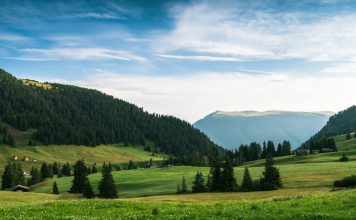 How Business Leaders Can Advocate for Regulatory Changes Photo Advocacy