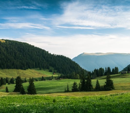 How Business Leaders Can Advocate for Regulatory Changes Photo Advocacy