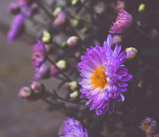 Franchise Trends: What’s Changing in the Industry This Year Photo Franchise Trends