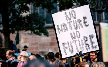 How Climate Change is Reshaping Global Business Strategies Photo Climate Change