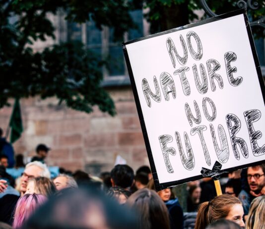 How Climate Change is Reshaping Global Business Strategies Photo Climate Change